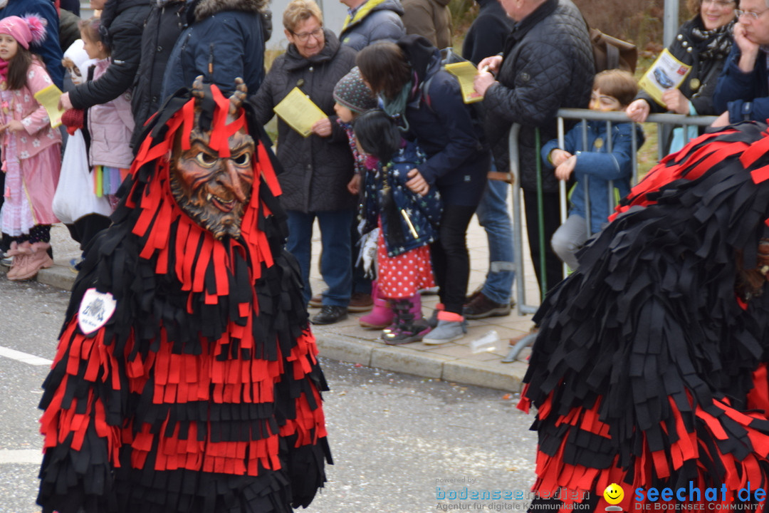 Grosser Narrensprung: Friedrichshafen am Bodensee, 02.03.2019