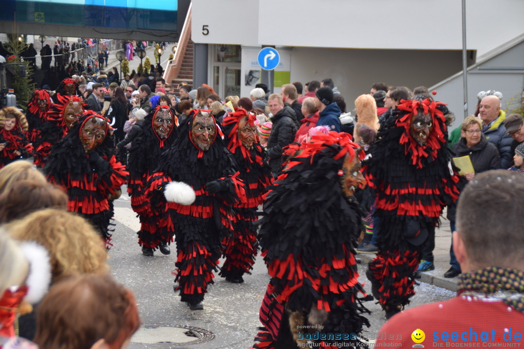 Grosser Narrensprung: Friedrichshafen am Bodensee, 02.03.2019