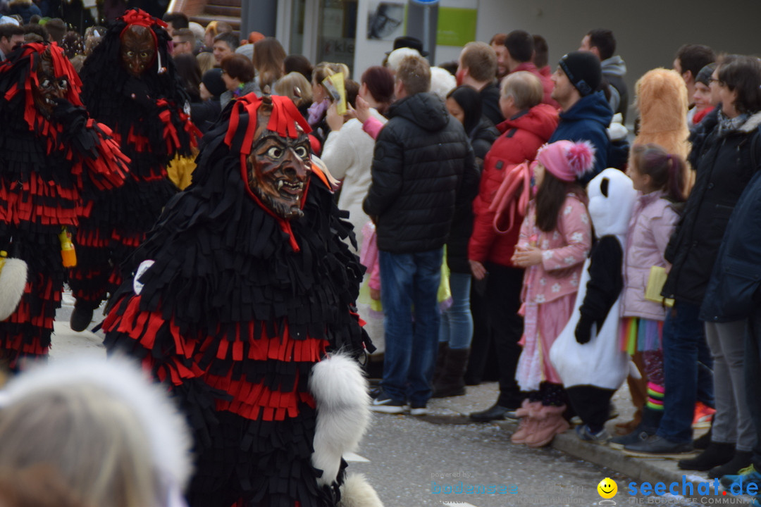 Grosser Narrensprung: Friedrichshafen am Bodensee, 02.03.2019