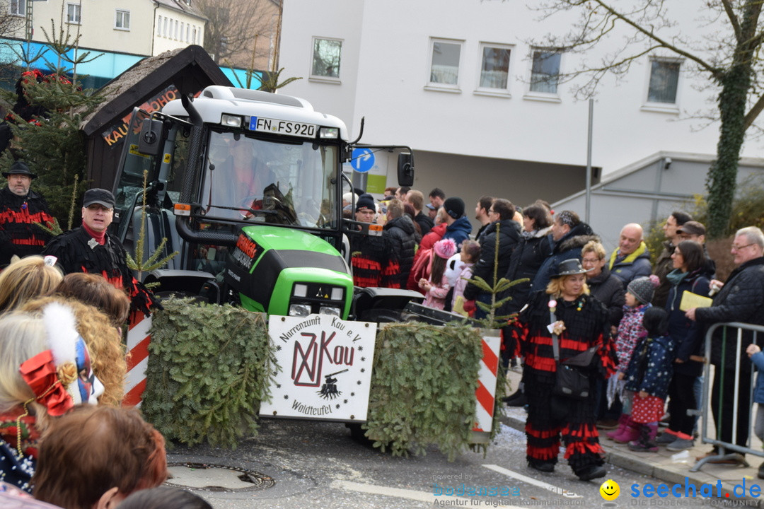 Grosser Narrensprung: Friedrichshafen am Bodensee, 02.03.2019