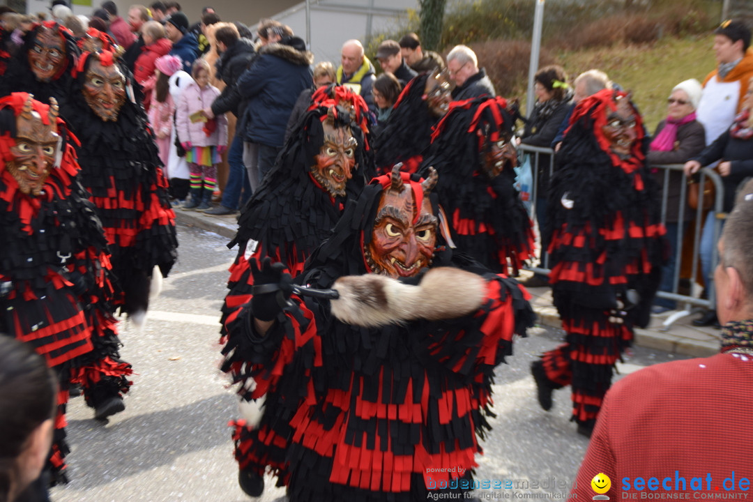 Grosser Narrensprung: Friedrichshafen am Bodensee, 02.03.2019