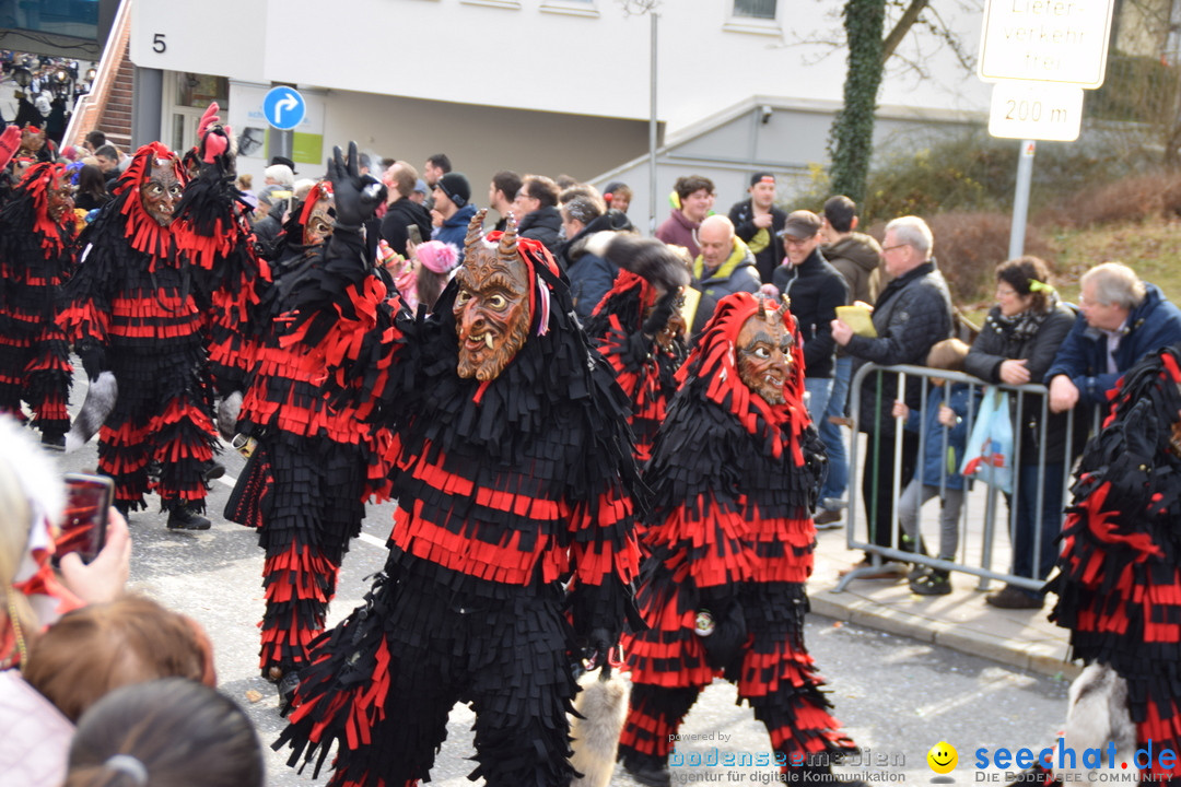 Grosser Narrensprung: Friedrichshafen am Bodensee, 02.03.2019