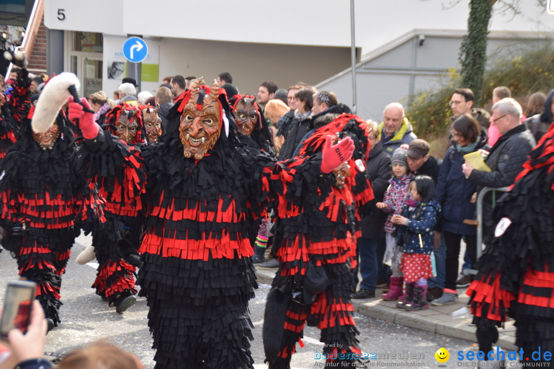 Grosser Narrensprung: Friedrichshafen am Bodensee, 02.03.2019