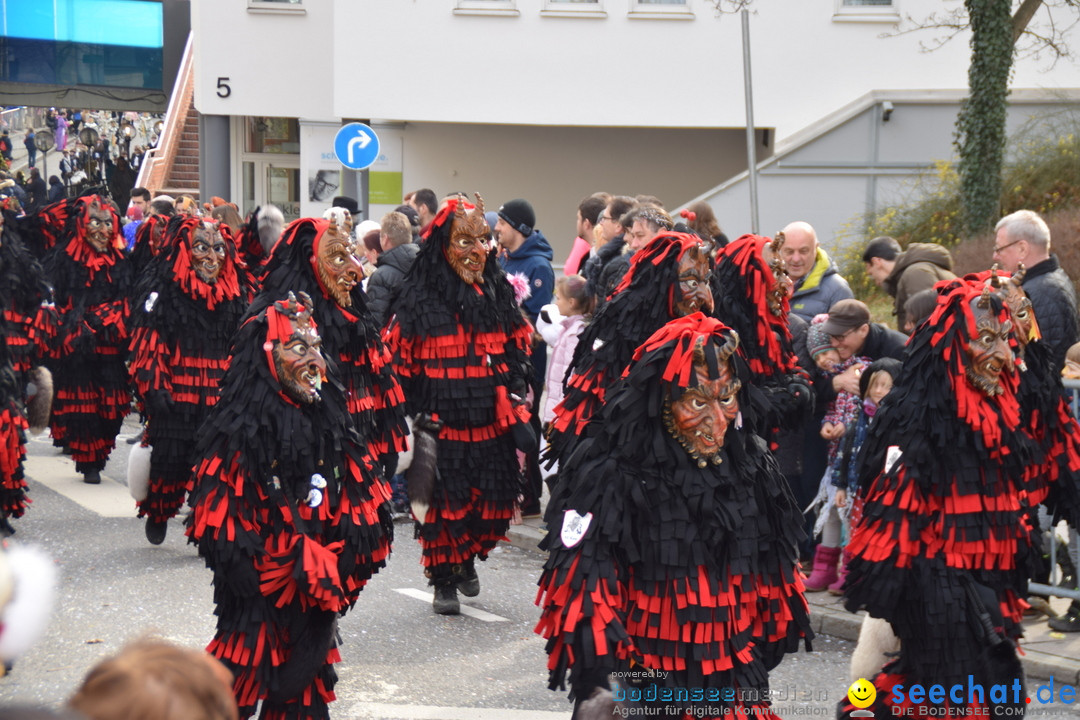 Grosser Narrensprung: Friedrichshafen am Bodensee, 02.03.2019