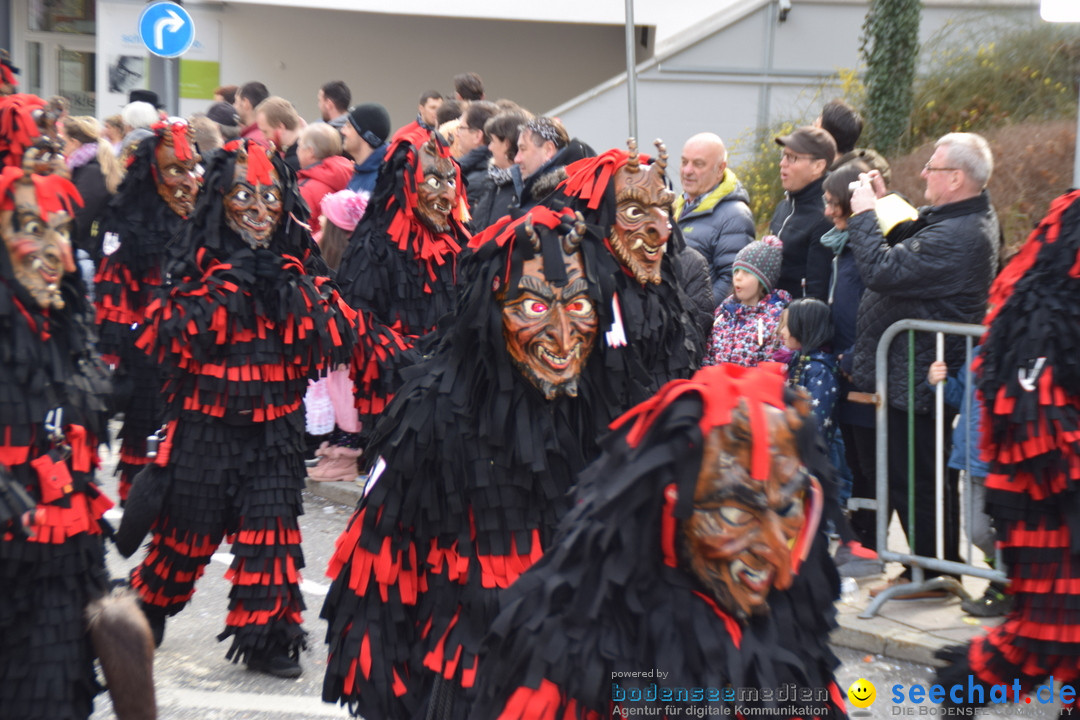 Grosser Narrensprung: Friedrichshafen am Bodensee, 02.03.2019