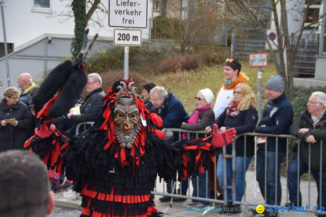 Grosser Narrensprung: Friedrichshafen am Bodensee, 02.03.2019