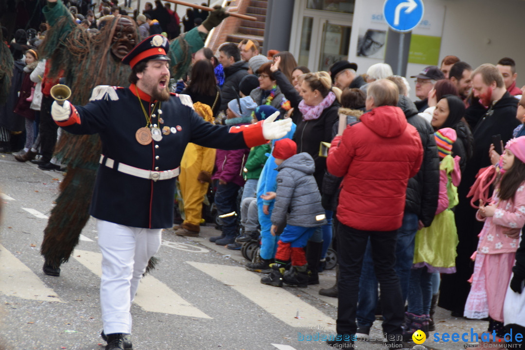 Grosser Narrensprung: Friedrichshafen am Bodensee, 02.03.2019