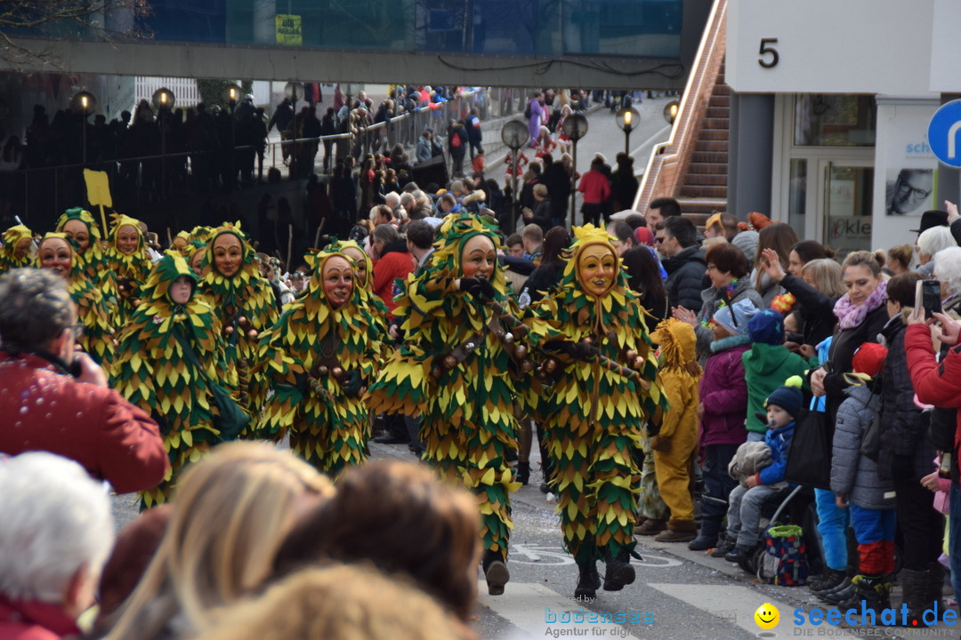 Grosser Narrensprung: Friedrichshafen am Bodensee, 02.03.2019