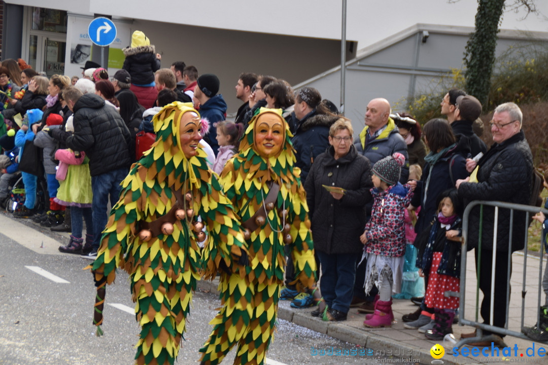 Grosser Narrensprung: Friedrichshafen am Bodensee, 02.03.2019