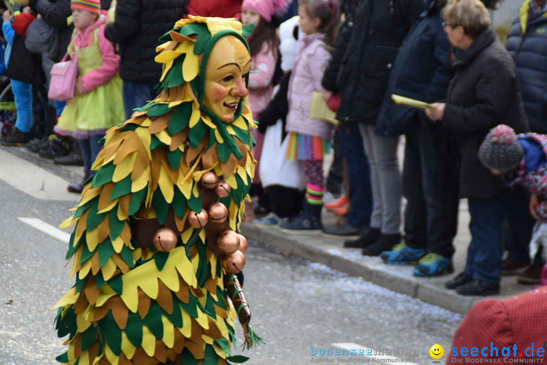 Grosser Narrensprung: Friedrichshafen am Bodensee, 02.03.2019