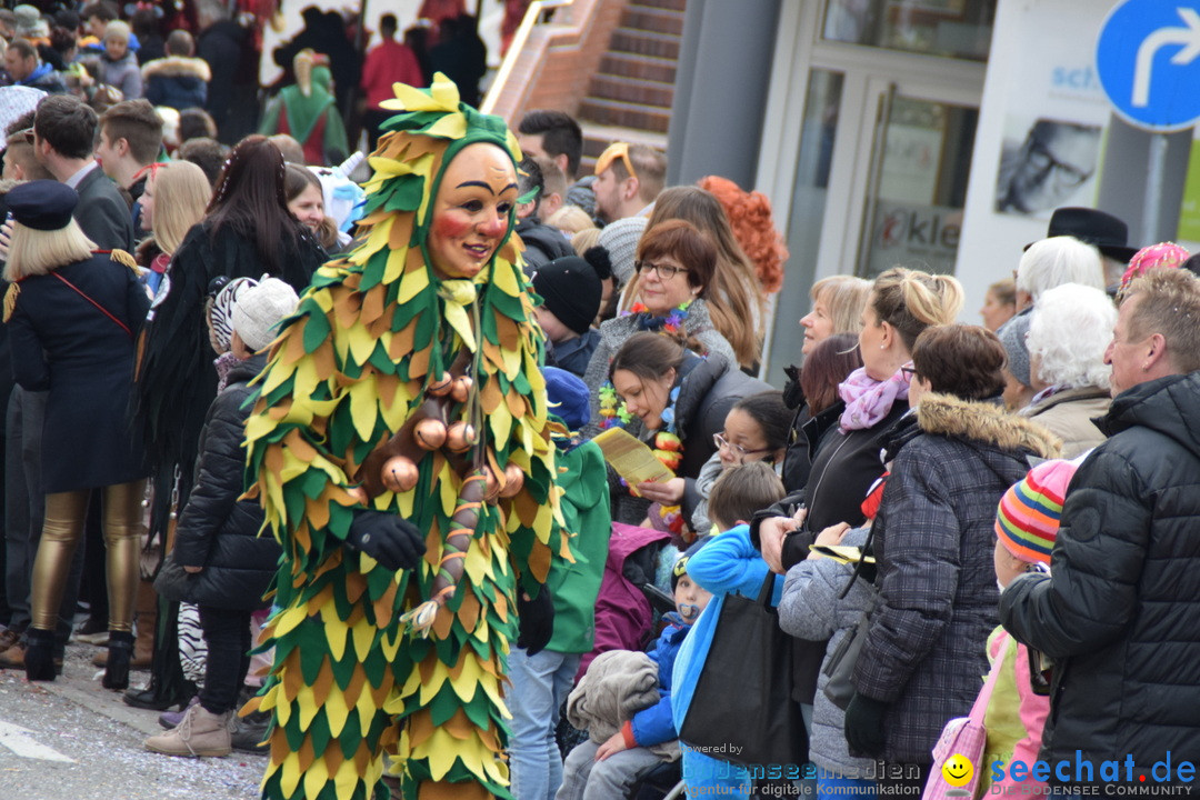 Grosser Narrensprung: Friedrichshafen am Bodensee, 02.03.2019