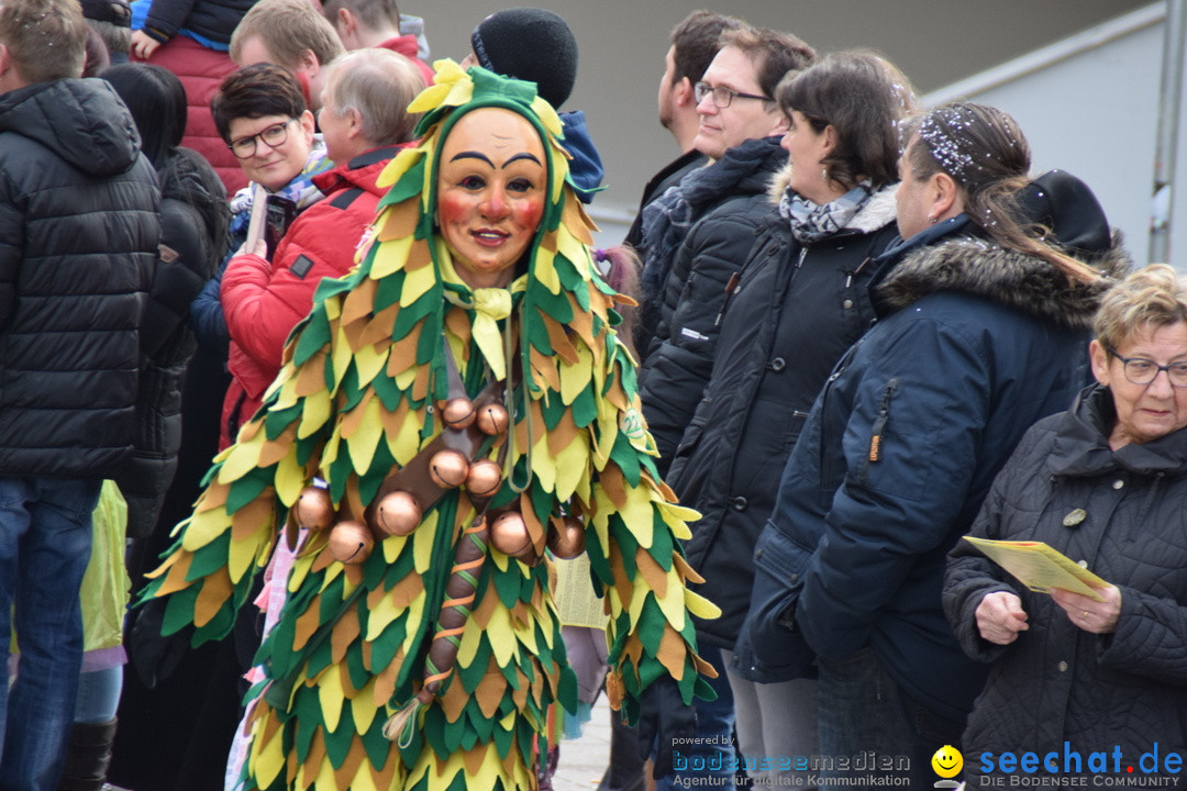 Grosser Narrensprung: Friedrichshafen am Bodensee, 02.03.2019