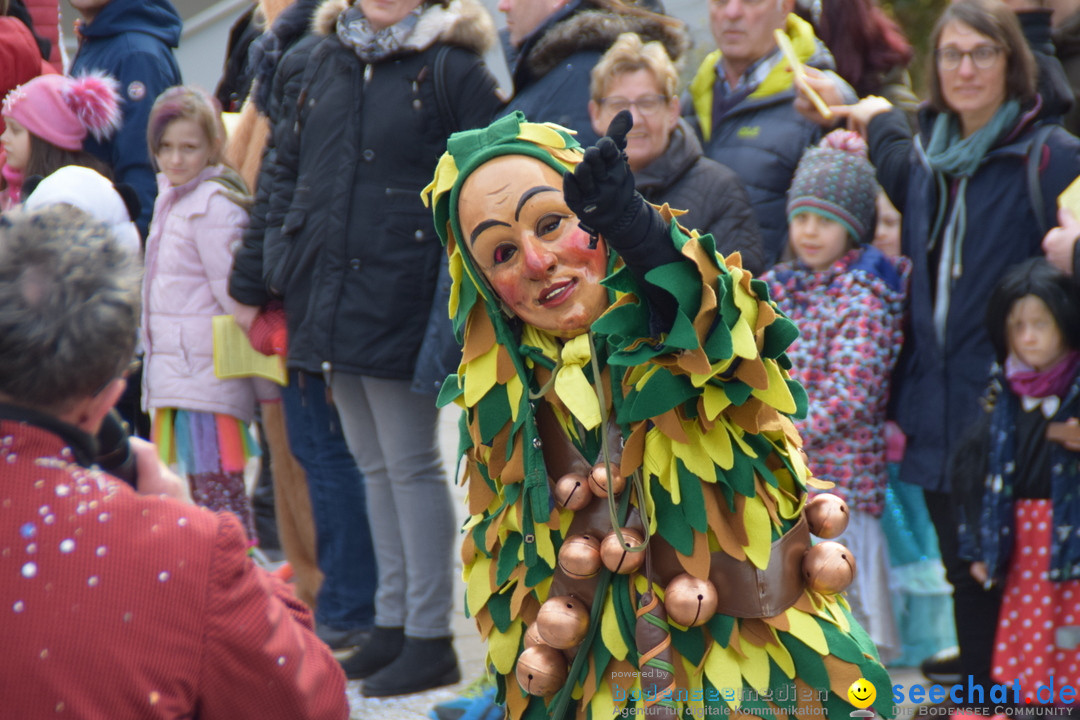 Grosser Narrensprung: Friedrichshafen am Bodensee, 02.03.2019