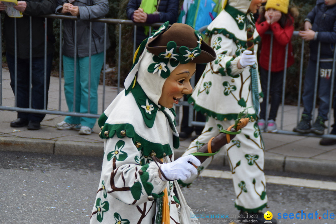 Grosser Narrensprung: Friedrichshafen am Bodensee, 02.03.2019