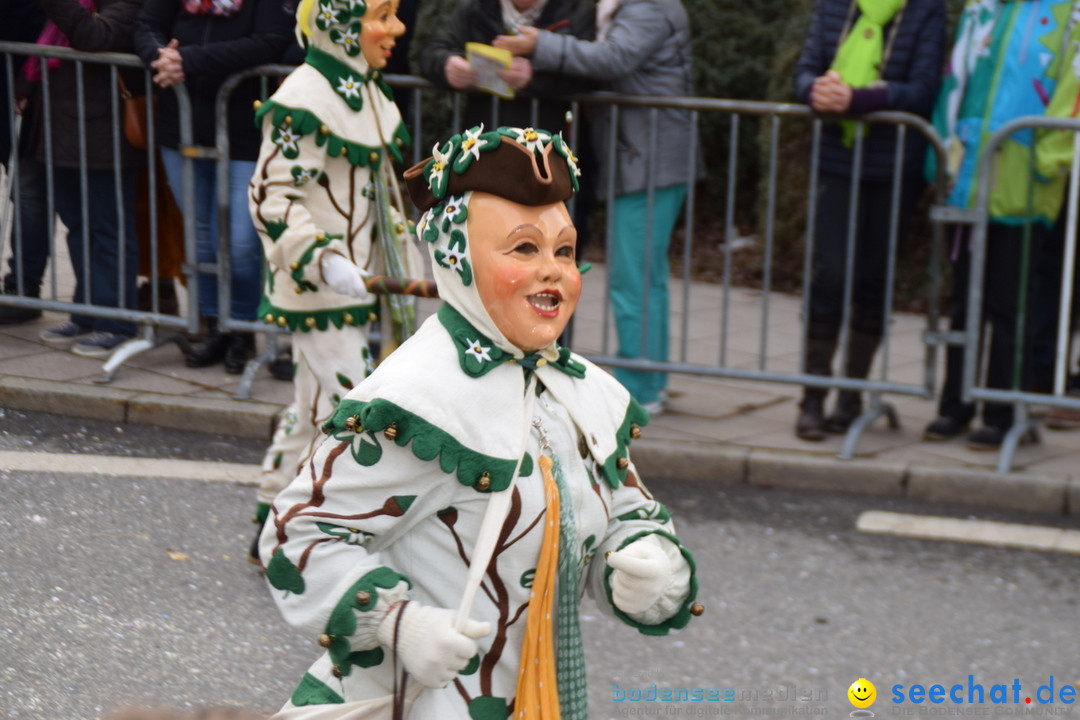 Grosser Narrensprung: Friedrichshafen am Bodensee, 02.03.2019