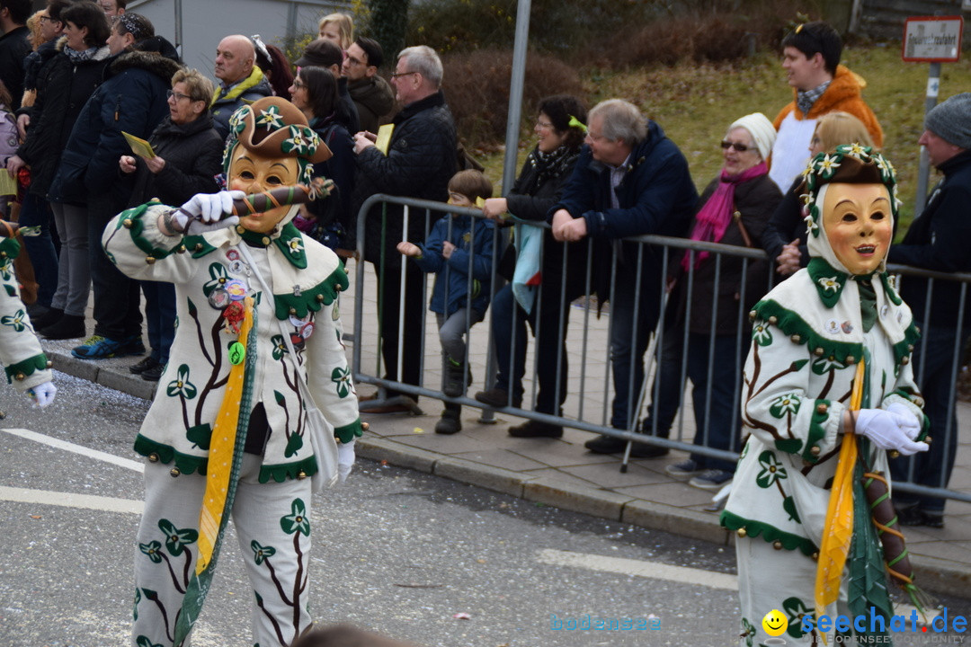 Grosser Narrensprung: Friedrichshafen am Bodensee, 02.03.2019