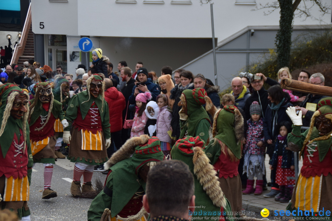 Grosser Narrensprung: Friedrichshafen am Bodensee, 02.03.2019