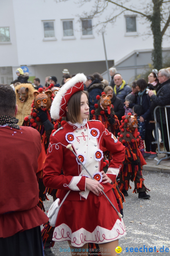 Grosser Narrensprung: Friedrichshafen am Bodensee, 02.03.2019