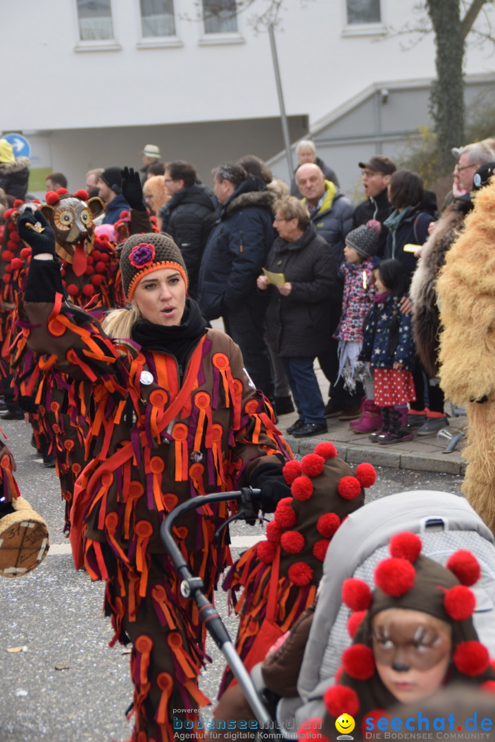 Grosser Narrensprung: Friedrichshafen am Bodensee, 02.03.2019