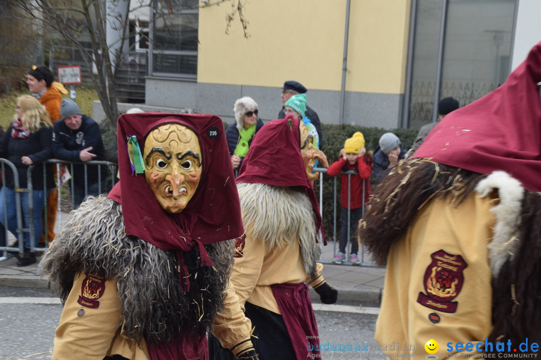 Grosser Narrensprung: Friedrichshafen am Bodensee, 02.03.2019