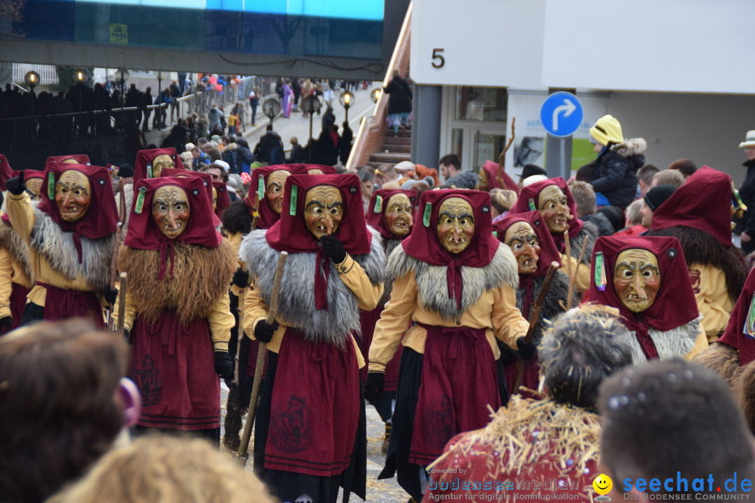 Grosser Narrensprung: Friedrichshafen am Bodensee, 02.03.2019