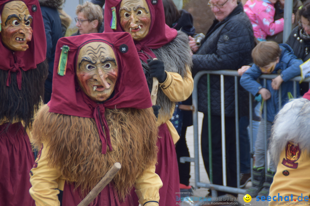 Grosser Narrensprung: Friedrichshafen am Bodensee, 02.03.2019