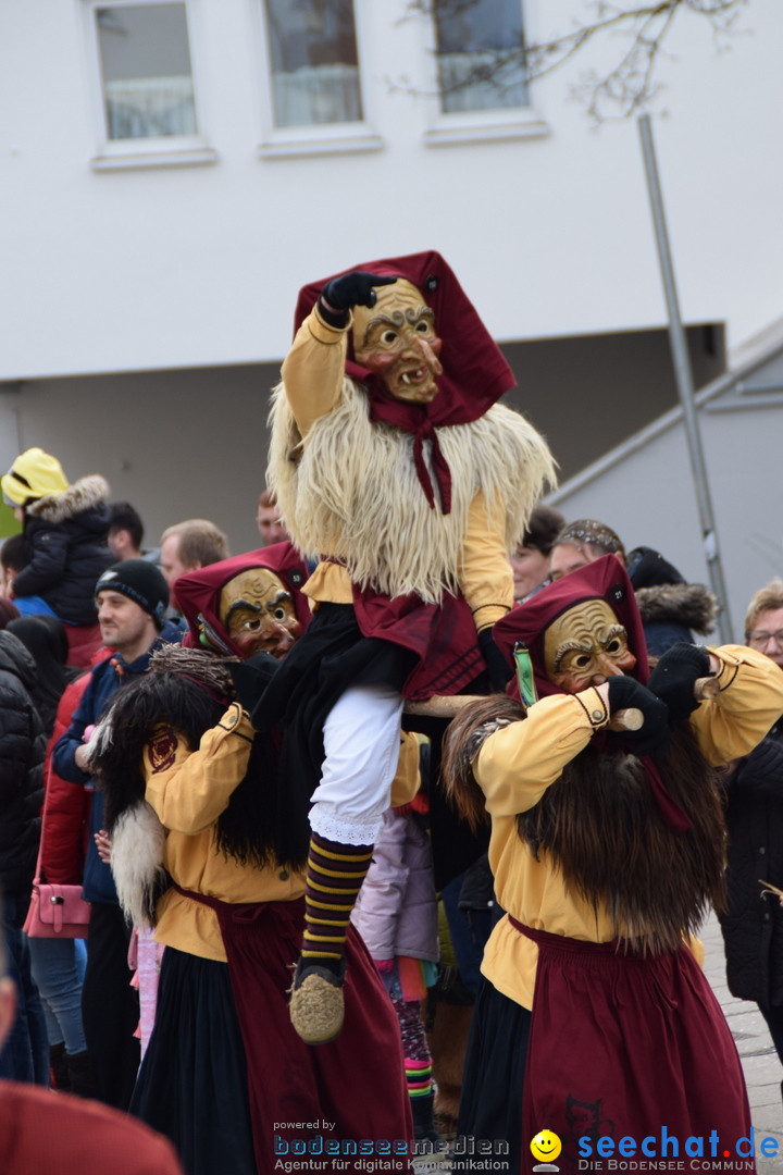 Grosser Narrensprung: Friedrichshafen am Bodensee, 02.03.2019