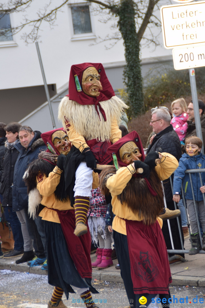 Grosser Narrensprung: Friedrichshafen am Bodensee, 02.03.2019