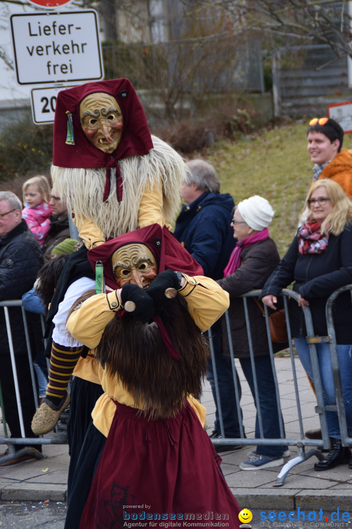 Grosser Narrensprung: Friedrichshafen am Bodensee, 02.03.2019