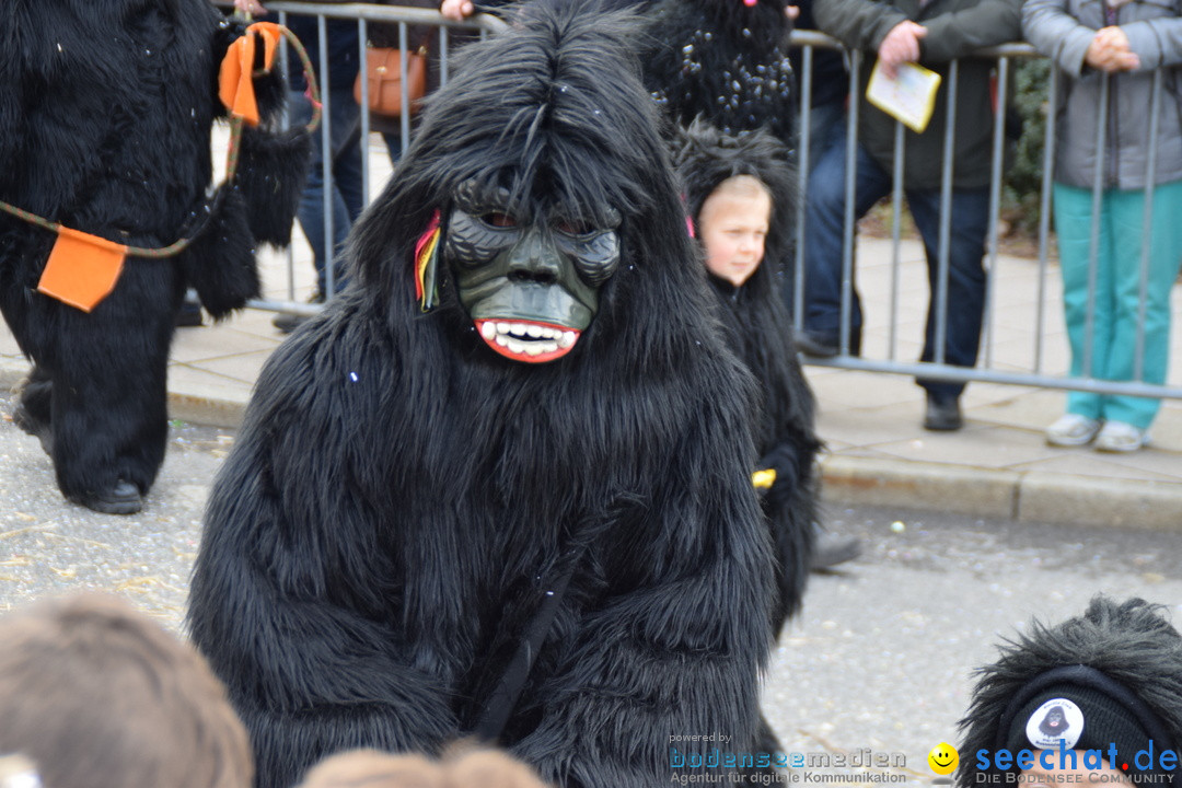 Grosser Narrensprung: Friedrichshafen am Bodensee, 02.03.2019