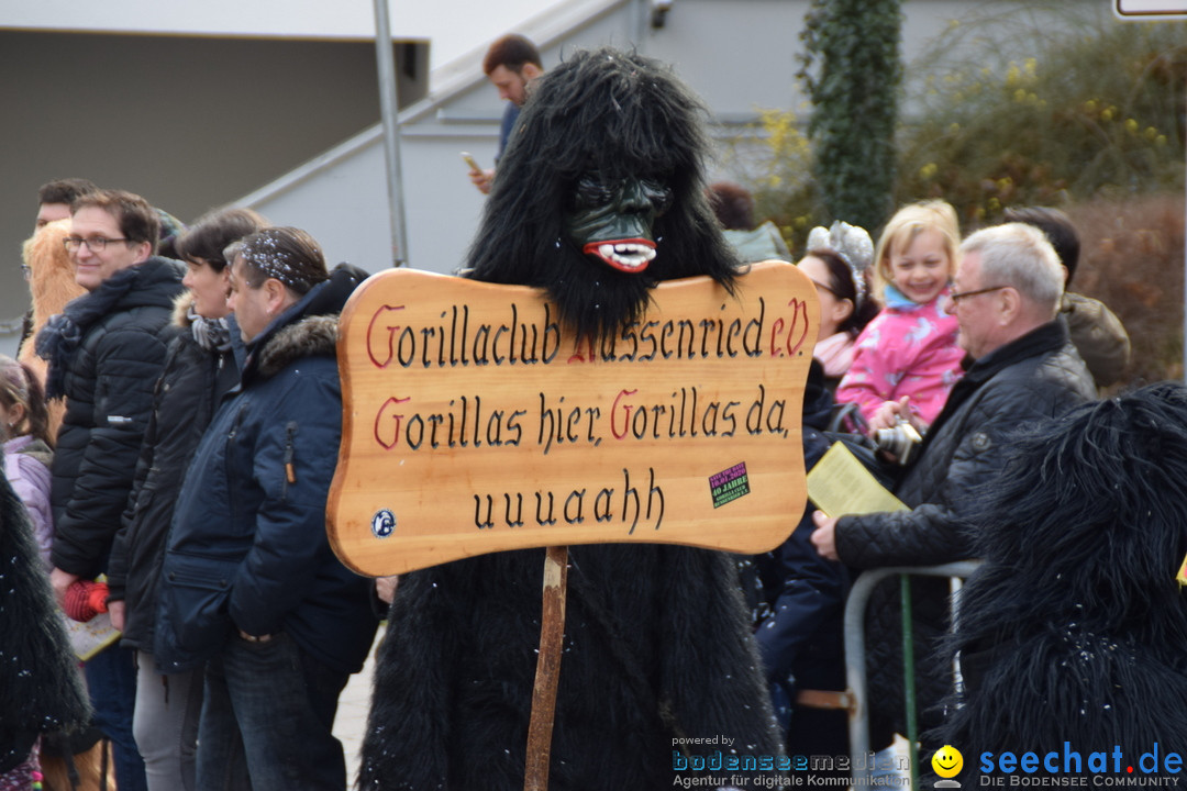 Grosser Narrensprung: Friedrichshafen am Bodensee, 02.03.2019