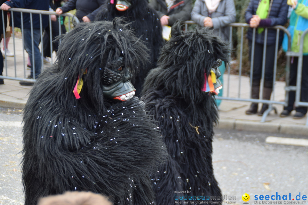 Grosser Narrensprung: Friedrichshafen am Bodensee, 02.03.2019