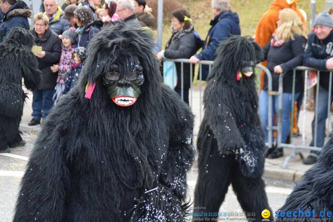 Grosser Narrensprung: Friedrichshafen am Bodensee, 02.03.2019