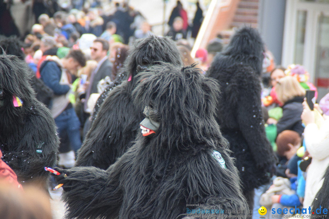 Grosser Narrensprung: Friedrichshafen am Bodensee, 02.03.2019