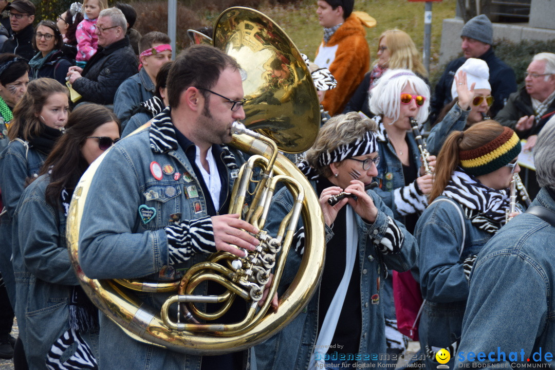 Grosser Narrensprung: Friedrichshafen am Bodensee, 02.03.2019