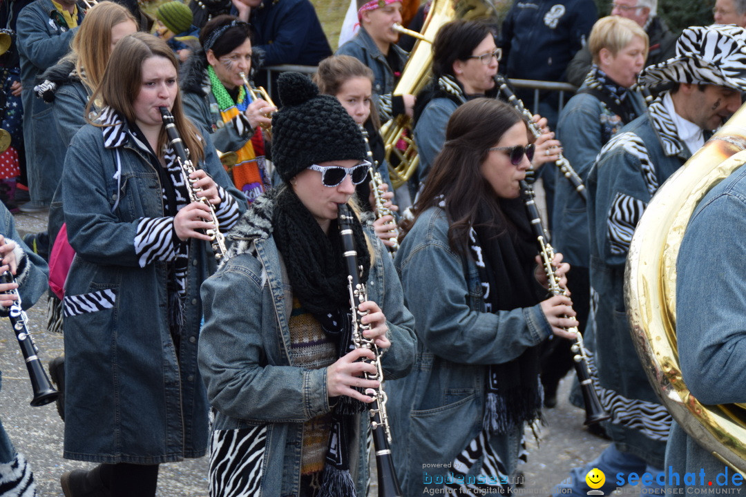 Grosser Narrensprung: Friedrichshafen am Bodensee, 02.03.2019