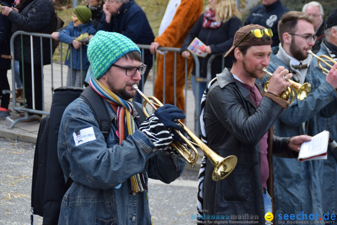 Grosser Narrensprung: Friedrichshafen am Bodensee, 02.03.2019