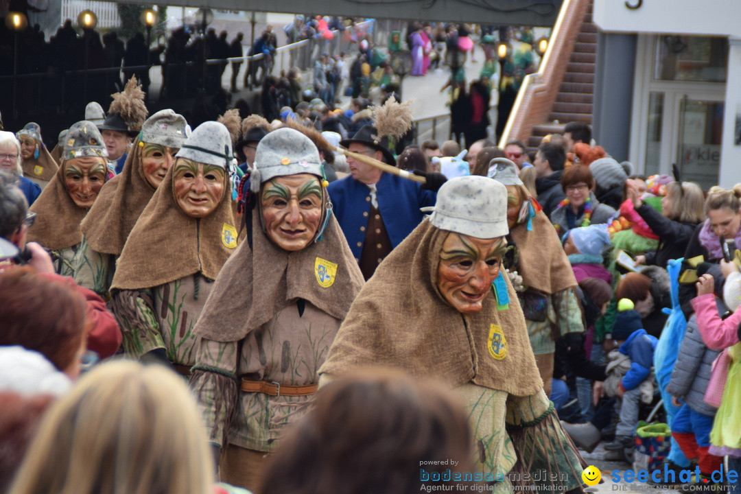 Grosser Narrensprung: Friedrichshafen am Bodensee, 02.03.2019