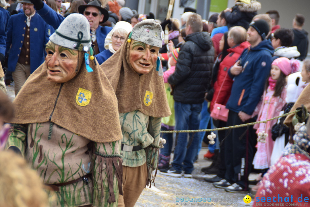 Grosser Narrensprung: Friedrichshafen am Bodensee, 02.03.2019