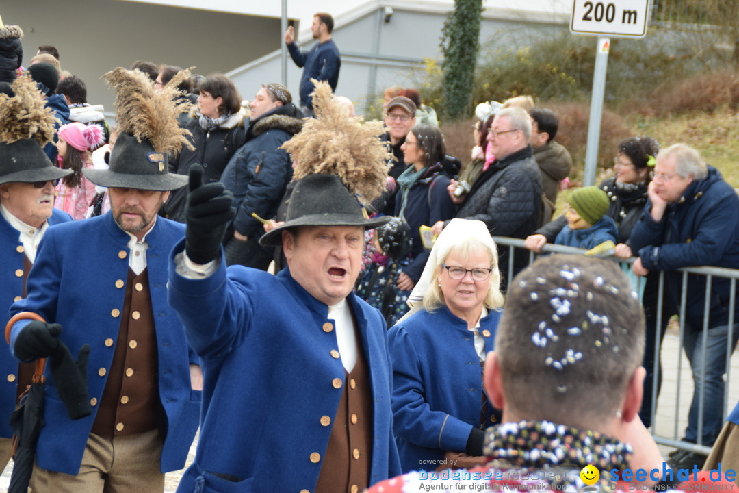 Grosser Narrensprung: Friedrichshafen am Bodensee, 02.03.2019