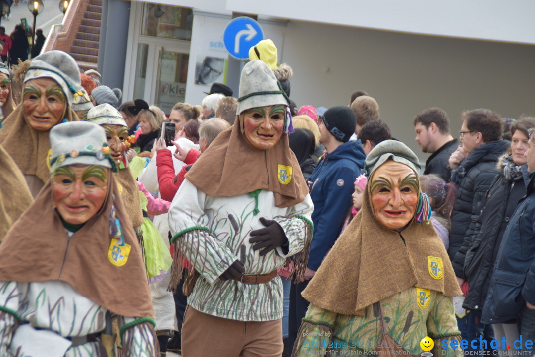 Grosser Narrensprung: Friedrichshafen am Bodensee, 02.03.2019