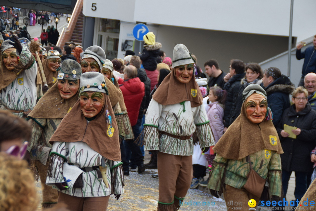 Grosser Narrensprung: Friedrichshafen am Bodensee, 02.03.2019