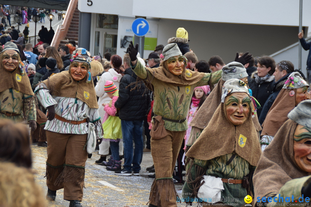 Grosser Narrensprung: Friedrichshafen am Bodensee, 02.03.2019