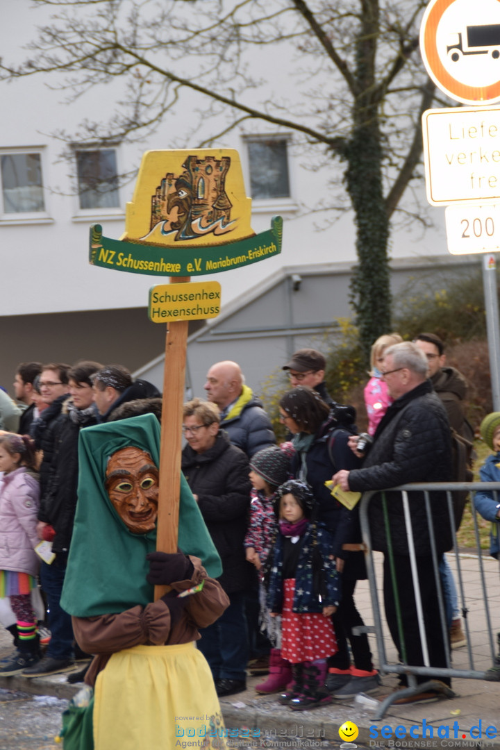 Grosser Narrensprung: Friedrichshafen am Bodensee, 02.03.2019