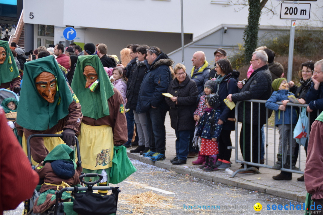 Grosser Narrensprung: Friedrichshafen am Bodensee, 02.03.2019