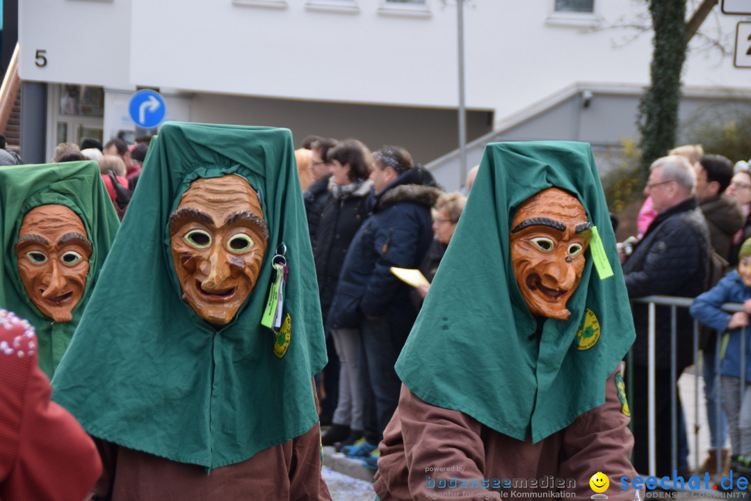 Grosser Narrensprung: Friedrichshafen am Bodensee, 02.03.2019