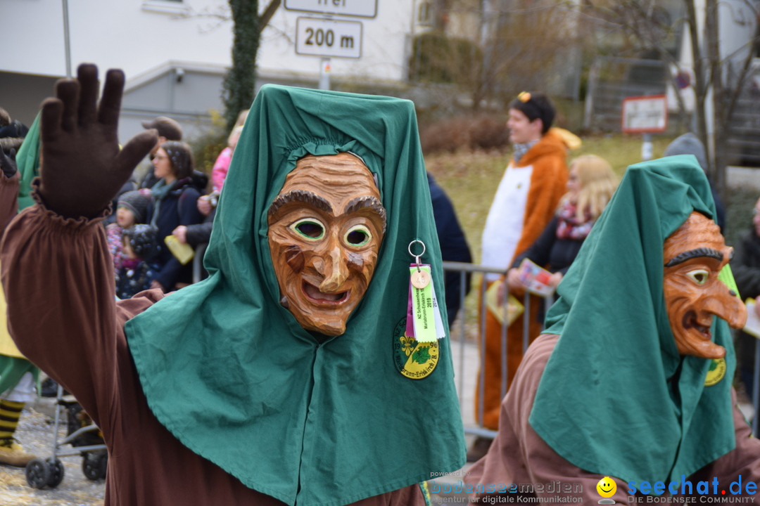 Grosser Narrensprung: Friedrichshafen am Bodensee, 02.03.2019