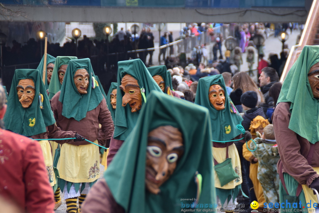 Grosser Narrensprung: Friedrichshafen am Bodensee, 02.03.2019