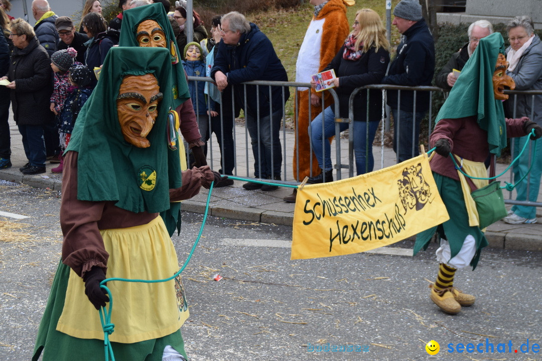 Grosser Narrensprung: Friedrichshafen am Bodensee, 02.03.2019