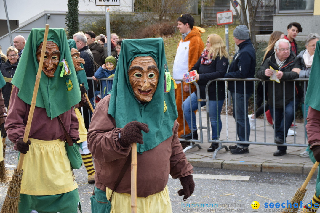 Grosser Narrensprung: Friedrichshafen am Bodensee, 02.03.2019